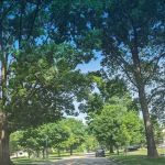 Lou Friscoe Attorney