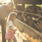 Nina P. Scopetti Attorney At Law