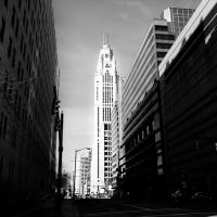 Brandon Shroy, Criminal Defense Attorney ico