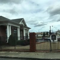 McKenney & Froelich Attorneys at Law ico