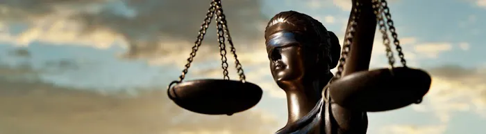 The Dickerson Firm DUI & VGCSA Attorneys Picture 4