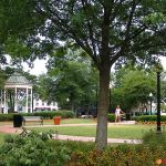 Matthew D. McMaster, LLC