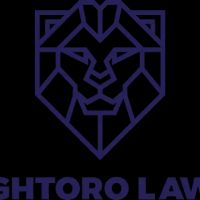 Singhtoro Law PA ico
