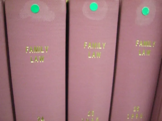 The Law Firm of Caryn S. Fennell Picture 9