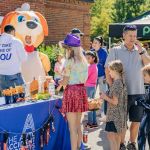 The Auto Accident Attorneys Group