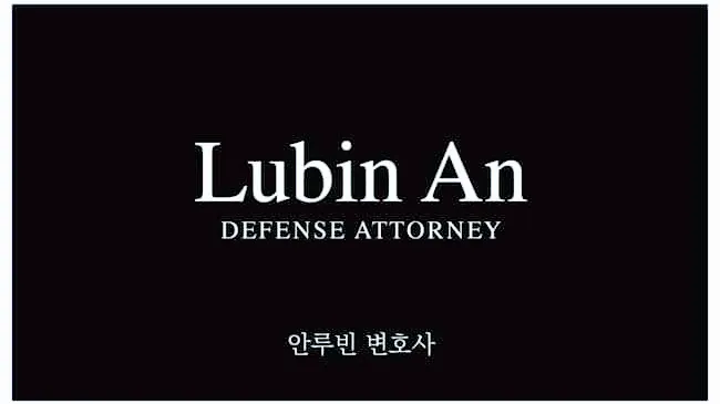 LUBIN AN LAW Picture 2