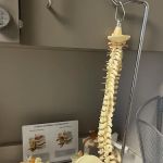 Alexander Shunnarah Trial Attorneys: Accident & Injury Lawyers