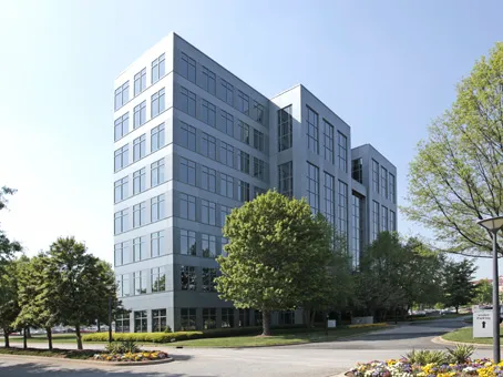 Saedi Law Group, LLC Picture 2