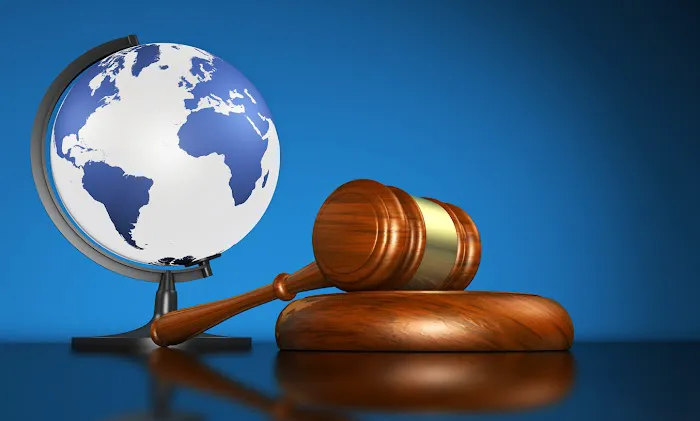 P&M IMMIGRATION LAW SERVICES Picture 1