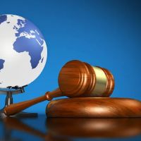 P&M IMMIGRATION LAW SERVICES ico