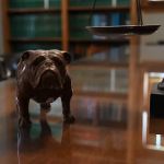 Butler Kahn - Personal Injury Attorneys