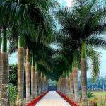 Downtown L.A. Law Group