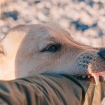 Moaddel Kremer & Gerome LLP