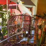 Law Offices of Jonathan Franklin