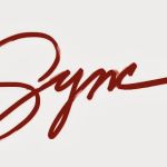 Flying Solo - Divorce Recovery Group