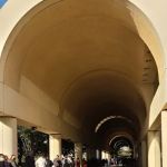 Law Office of Scott Pactor