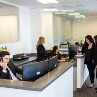 Lady Legal ico