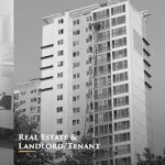 Davidovich Stone Law Group LLP