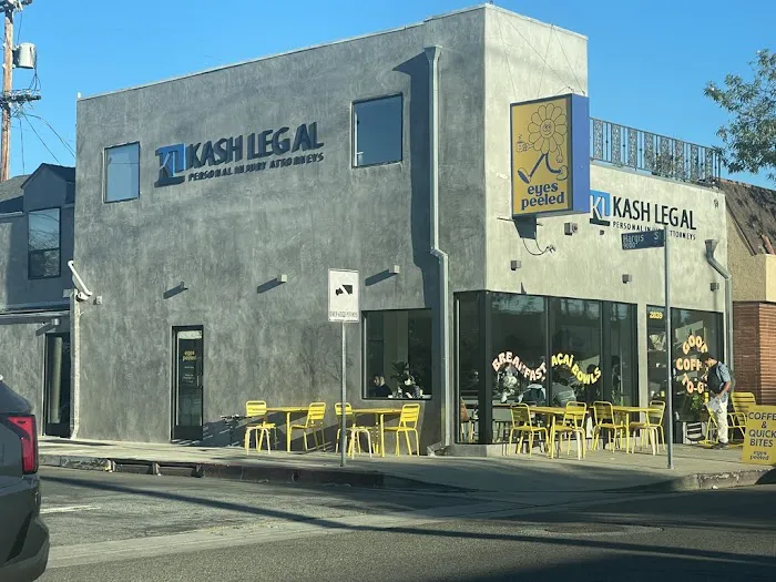 Kash Legal Group - Personal Injury and Accident Attorneys Picture 7