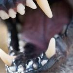 Kash Legal Group - Personal Injury and Accident Attorneys