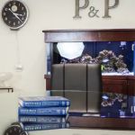 Paliwoda | Paliwoda | Van Strien Alvarado