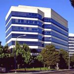 The Immigration Professor