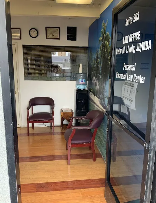Law Office of Peter M. Lively Picture 2