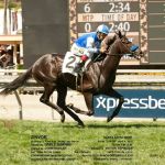 Law Offices of Bruce M. Lorman