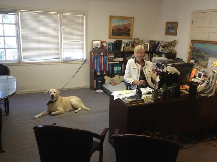 The Bankruptcy Law Firm, PC Picture 7