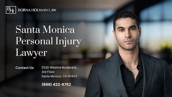 Borna Houman Law Picture 4