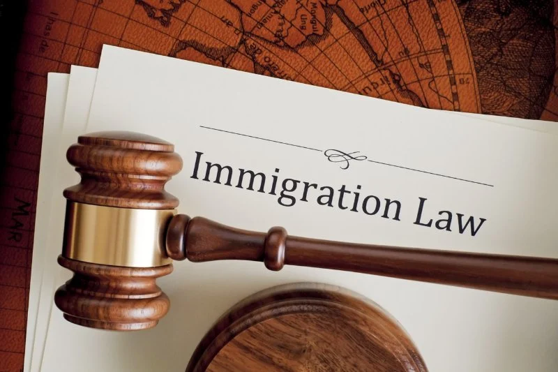The Basics of Immigration Law for Newcomers – Expert Legal Advice