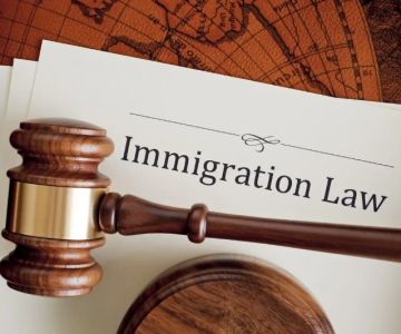 The Basics of Immigration Law for Newcomers – Expert Legal Advice