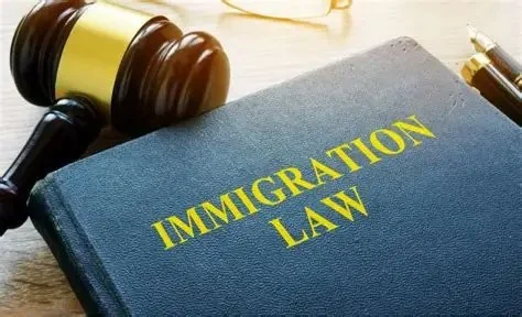 Understanding Immigration Law for Newcomers – Expert Legal Advice
