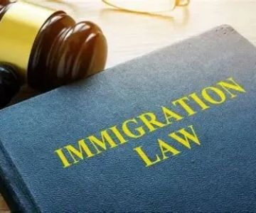 Understanding Immigration Law for Newcomers – Expert Legal Advice