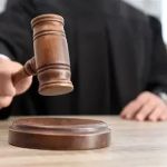 A Beginner’s Guide to Small Claims Court: Steps, Tips, and Real-Life Cases