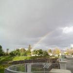 SCC Needle Exhange - Little Orchard St. - FRIDAY