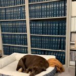 Law Offices of Samuel R. Swift and Ian R. Leslie