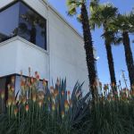 Sheldon R Blum Law Offices