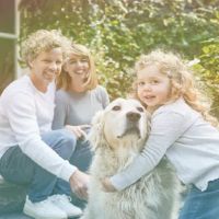 Modern Family Law ico