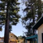 James M Sullivan Law Offices