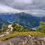 Leta Brandes Law, LLC