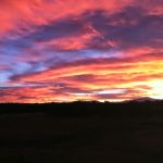 Burford Law Firm LLC