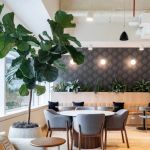 Arizona Criminal Defense & DUI Lawyers