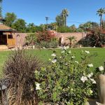 The Forakis Law Firm, PLC