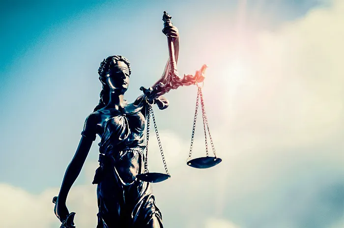 Phoenix Business Lawyer Picture 2