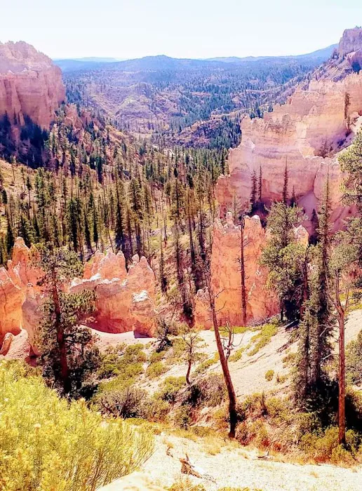 Utah Compensation & Disability Law Picture 3