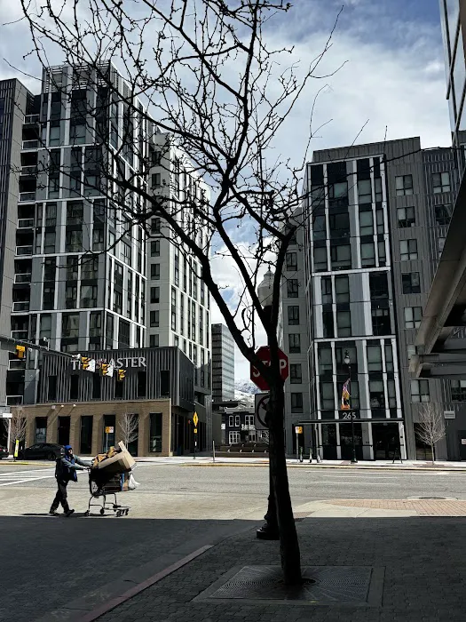 Durham Jones & Pinegar: Thomson Michael F Picture 2
