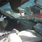 Queener Law - Tennessee