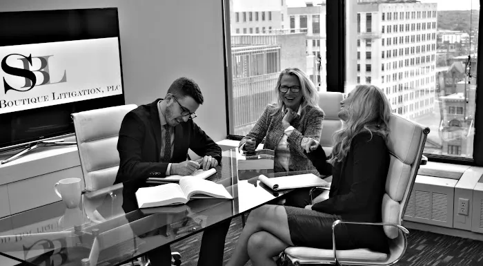 Sherwood Boutique Litigation, PLC Picture 8