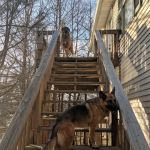 Brendan McLeod, Aggressive Criminal Attorney - Oldham County